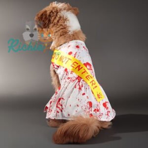 Disfraz para perro. Halloween para mascota.